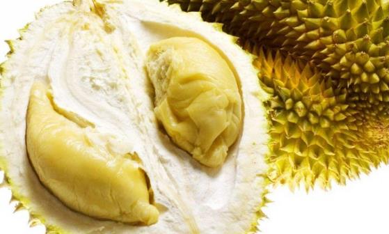 榴蓮有流連忘返的美譽(yù) 榴蓮食用時(shí)的注意事項(xiàng):