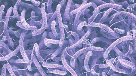 乙類傳染病新型冠狀病毒肺炎已措手不及,甲類傳染病霍亂如何預防