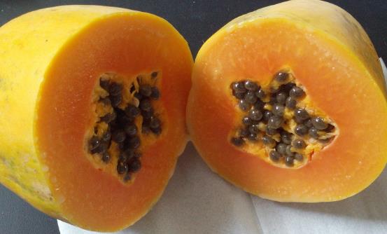 木瓜豐胸通乳緩解體虛 木瓜的做法大全