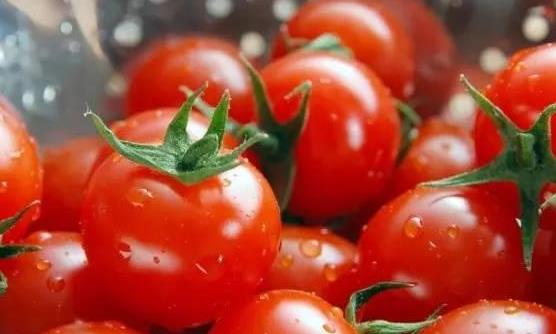 經常吃番茄對身體有4個好處 空腹吃番茄易引起腹痛