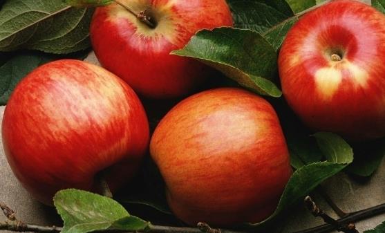 水果不僅增強免疫力還能護心 吃水果最健康的方法