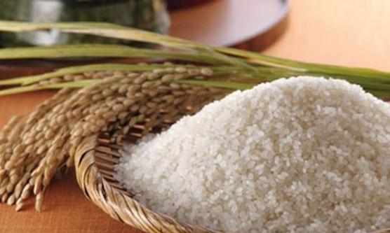 大米生了蟲 預防大米生蟲的措施