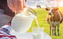 ?老年人常喝牛奶能預防骨質疏松 這幾類老年人不要喝牛奶