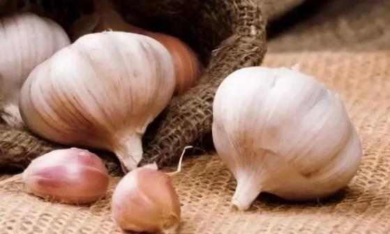 8種養肝的好食物 一日三餐中搭配這些食材有好處