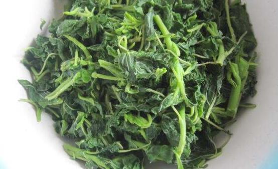 野菜的營(yíng)養(yǎng)價(jià)值 野莧菜的好吃做法簡(jiǎn)單易學(xué)哦