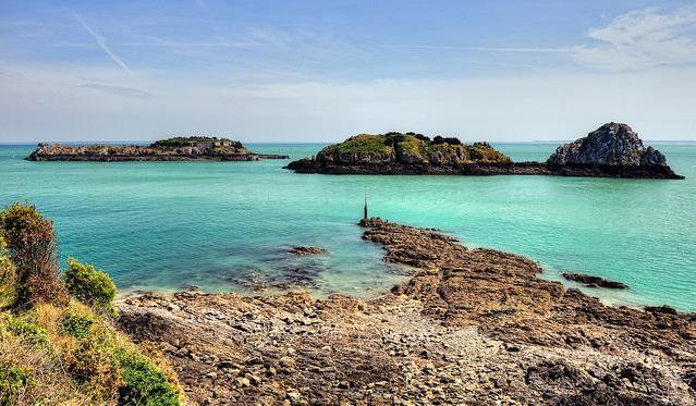 春季鼻敏感，兒科專家鮑秀蘭給大家支招！