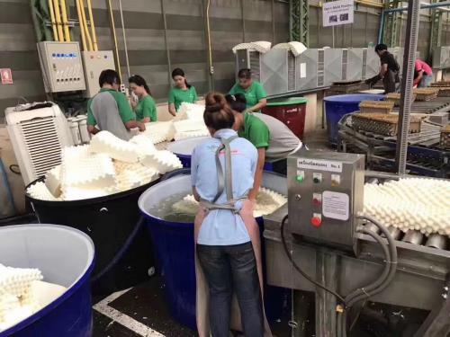 晚上睡不著怎么辦？天然乳膠才是睡眠神器