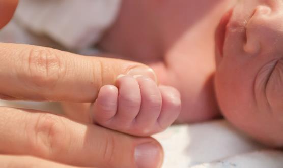 給早產兒喂養的四大原則 早產兒的營養需要量新媽要了解