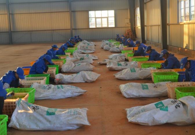 讓每一位消費者放心,御芝林用品質和堅守交出高分答卷