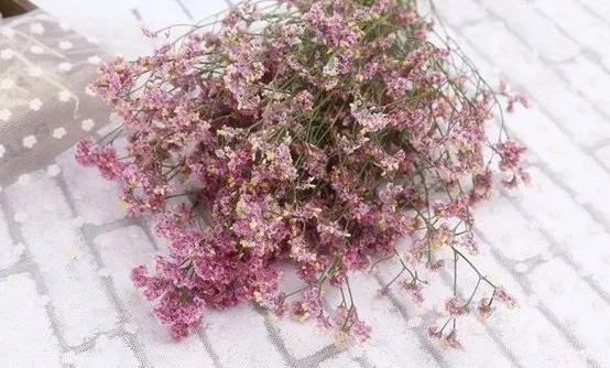 如何讓鮮花長(zhǎng)開(kāi)不敗?