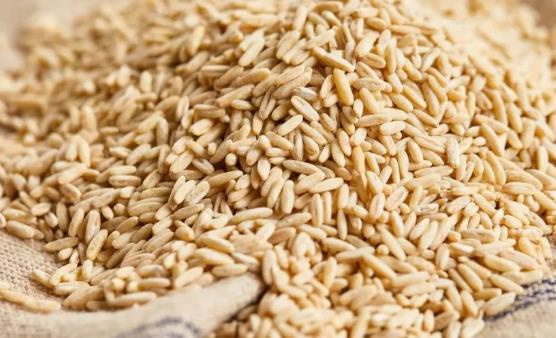 經常食用燕麥的好處 不宜食用燕麥的人群