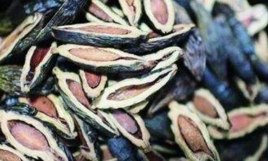 檳榔的主要功效和食用方法 嚼檳榔出現四個異常最好去檢查