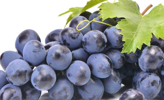 補血乃當務之急 補血的3個注意要點