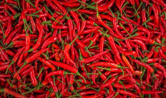 遭嫌棄卻深含大營養(yǎng)的食物 難吃卻最營養(yǎng)