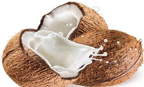 椰子汁是三高人群的福音 補充細胞內液擴充血容量