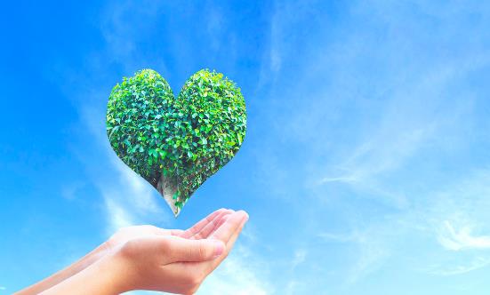 低碳生活方式有哪些 養成低碳生活習慣符合時代潮流