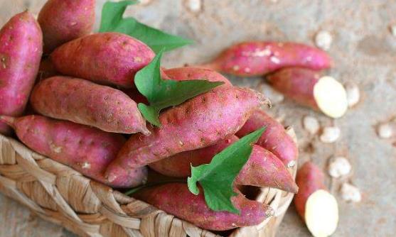 常吃紅薯預防動脈硬化冠心病 吃紅薯的禁忌