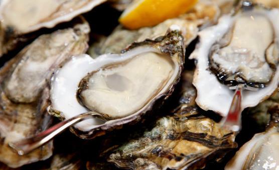 補腎壯陽為初春強身健體上策 食補推薦“黑五類”