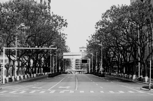 4月8日武漢重啟,小白熊母嬰抗疫援助進(jìn)行時