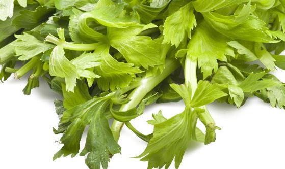 常吃芹菜養血補虛 低血壓脾胃虛弱的人不宜吃