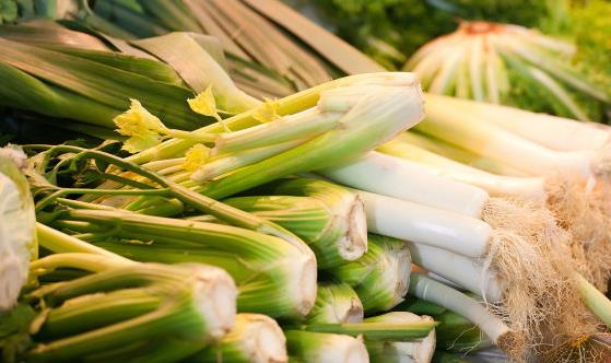 常吃芹菜養血補虛 低血壓脾胃虛弱的人不宜吃