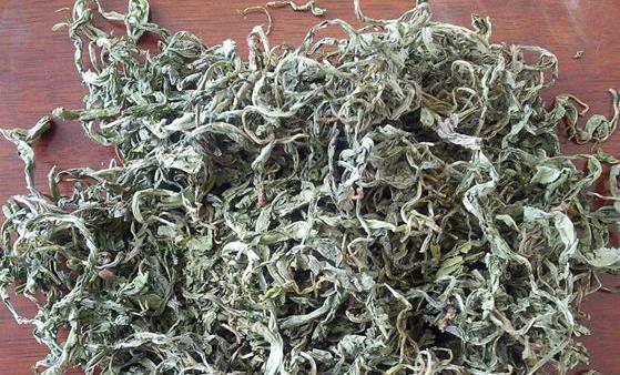 苦菜能補血消暑清熱解毒 紫花苦菜泡水喝的使用禁忌