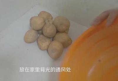 土豆發芽了還能吃嗎?剛發芽的土豆可以吃嗎