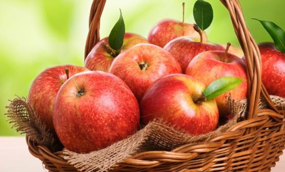 出現(xiàn)孕吐癥狀特別嚴(yán)重 推薦十個緩解孕吐的方法