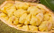 ?菠蘿蜜切開兩半了沒熟怎么辦 菠蘿蜜沒熟吃了會中毒嗎