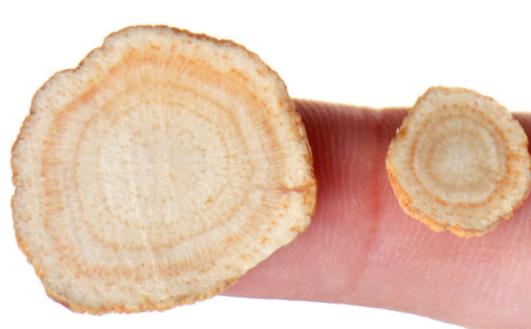 陽(yáng)虛體質(zhì)可以吃西洋參嗎 陽(yáng)虛泡酒用什么藥材