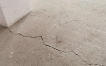 牛蛙價格最新市場價格