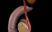 ?春袋(春袋癢是什么問題)