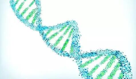 脫氧核糖核酸是什么東西，婦科脫氧核糖核酸是什么東西